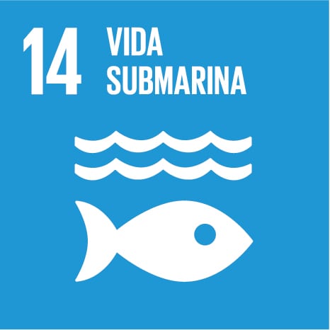 14- Vida submarina