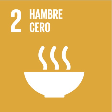 2- Hambre cero