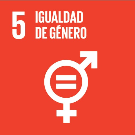 5- Igualdad de género