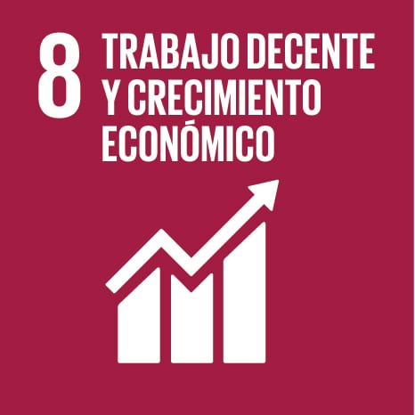 8- Trabajo decente y crecimiento económico