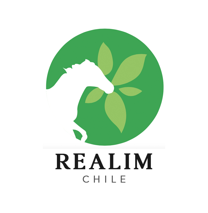 REALIM Chile